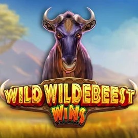 Play the Wild Wildebeest Wins slot by Pragmatic Play on Roulettino Casino